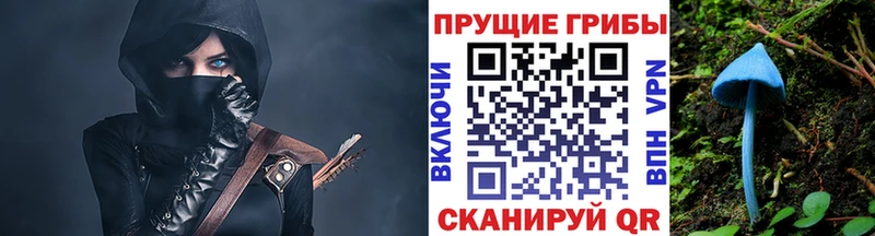 дарнет шоп  Алексеевка  Галлюциногенные грибы мухоморы 