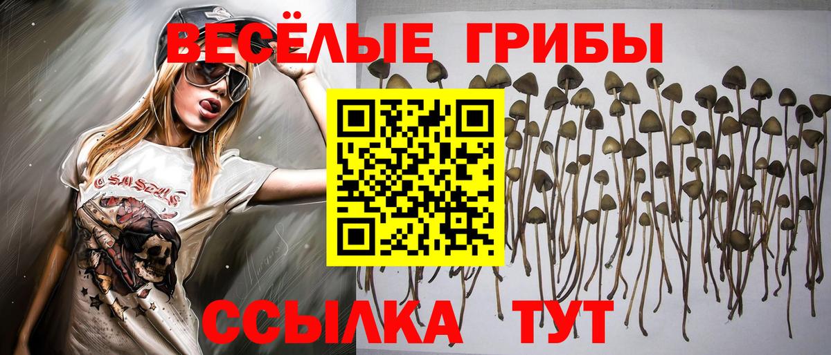 Галлюциногенные грибы прущие грибы  Вход с VPN  Алексеевка 