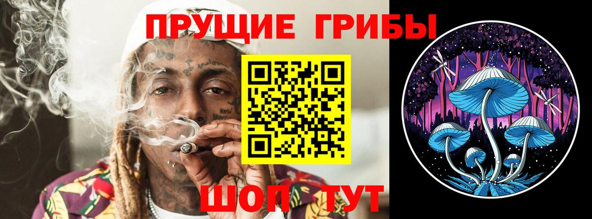 Псилоцибиновые грибы Cubensis Алексеевка