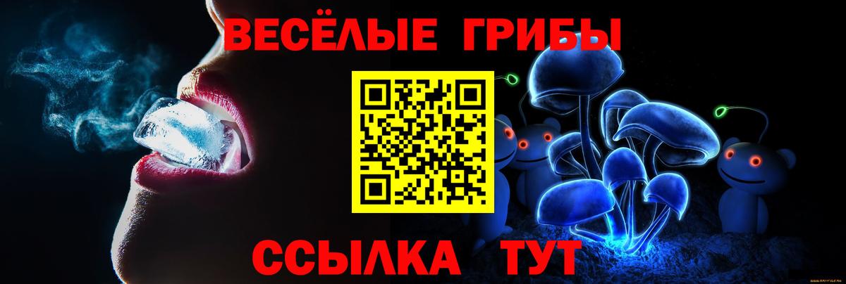 Псилоцибиновые грибы прущие грибы  Псилоцибиновые грибы ЛСД  Алексеевка 