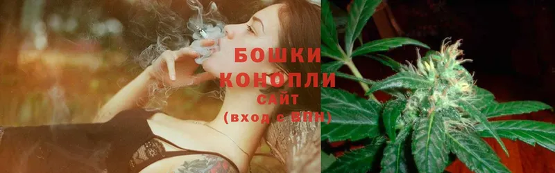 где купить наркоту  Алексеевка  Бошки марихуана SATIVA & INDICA 